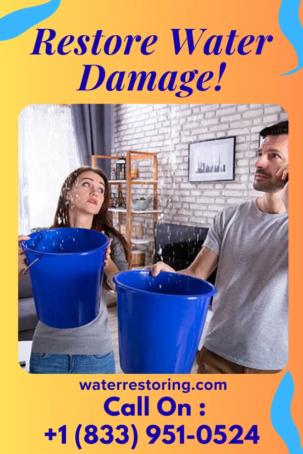 water restoration Lightning Water Repair & Associates Woodmere