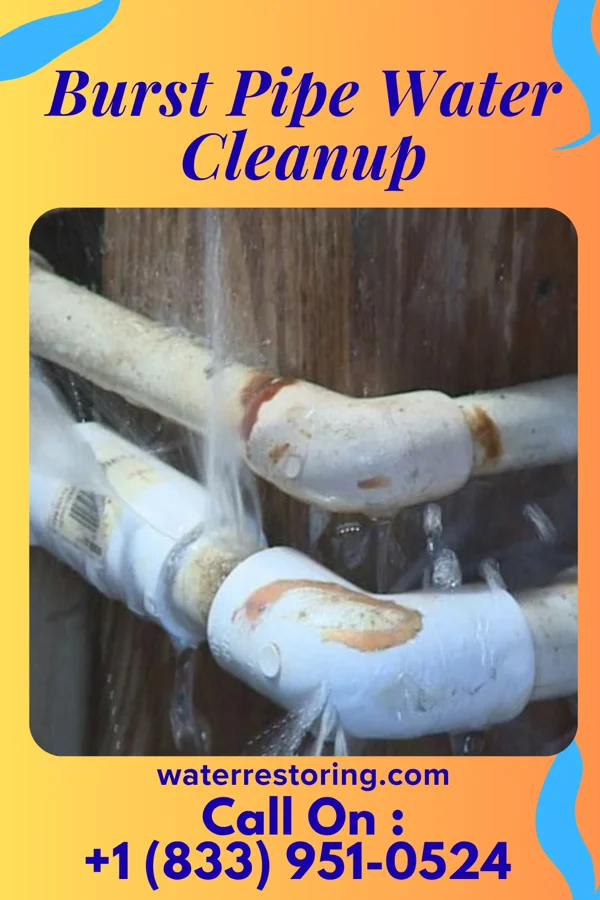 Burst Pipe Water Cleanup in Woodmere, OH
