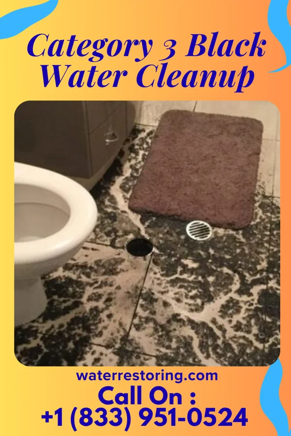 Category 3 Black Water Cleanup in Woodmere, OH