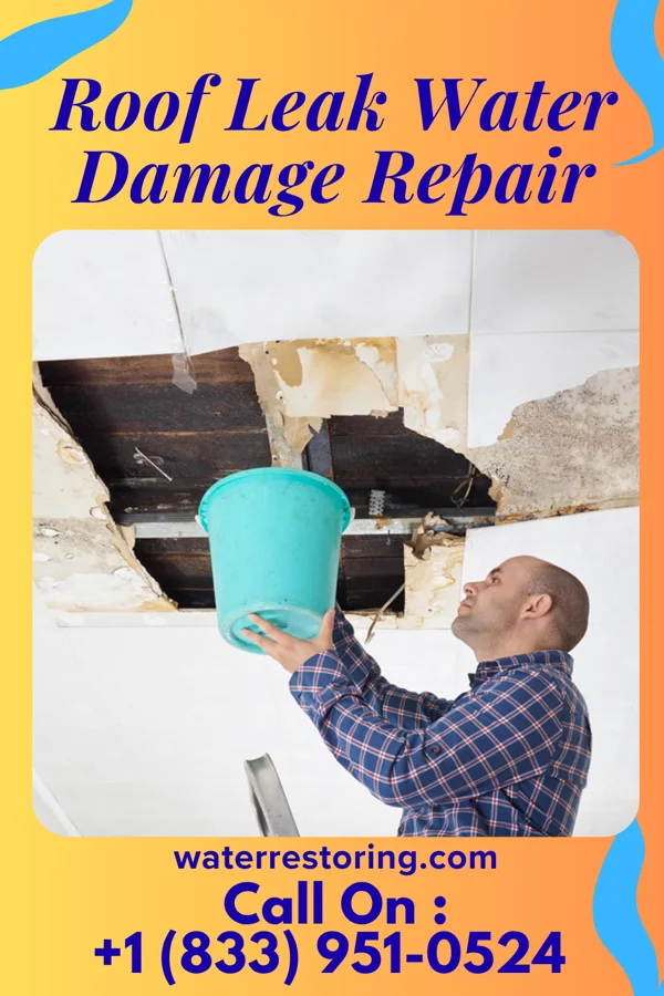 Roof Leak Water Damage Repair in Woodmere, OH