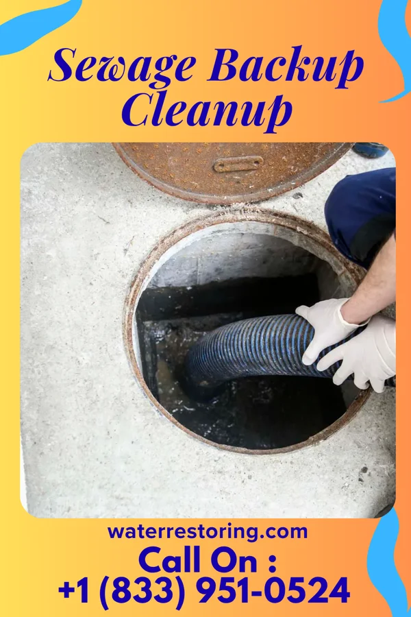 Sewage Backup Cleanup in Woodmere, OH