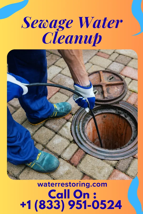 Sewage Water Cleanup in Woodmere, OH